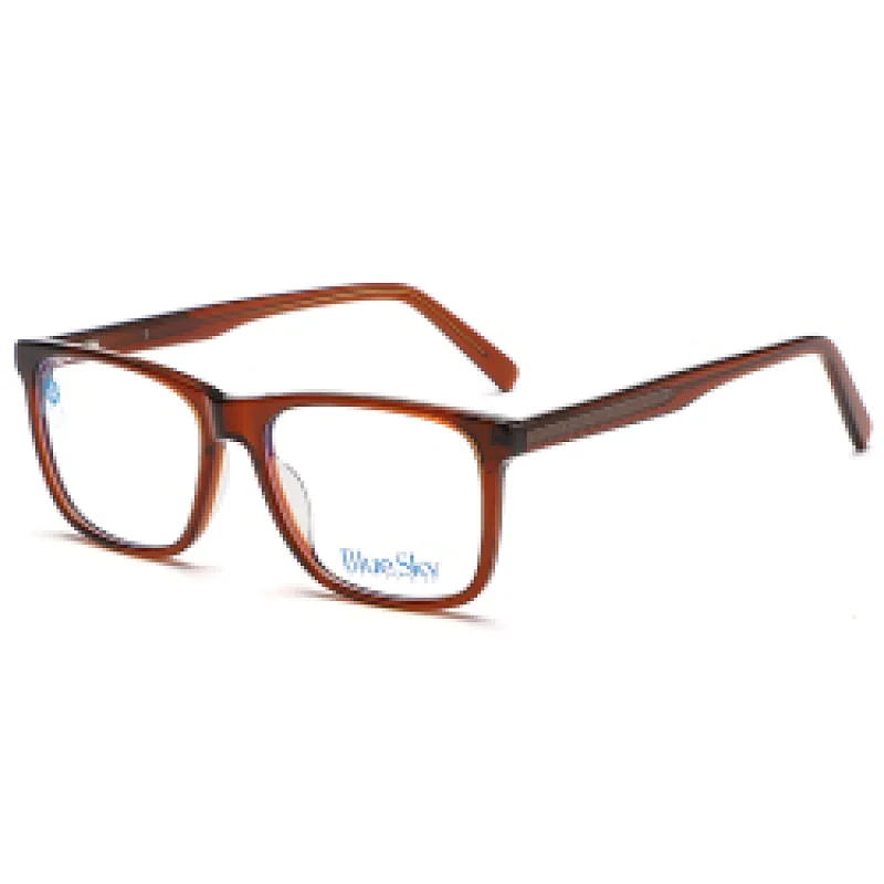 Popular Design Hot Selling Summer Newest In Wholesale Eyeglass Adult Blue Light Glass Acetate With Metal Temple Eyewear