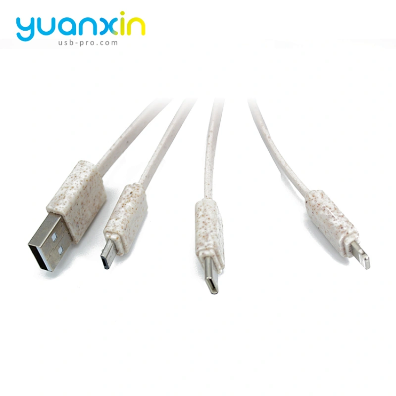 Eco keychain usb cable