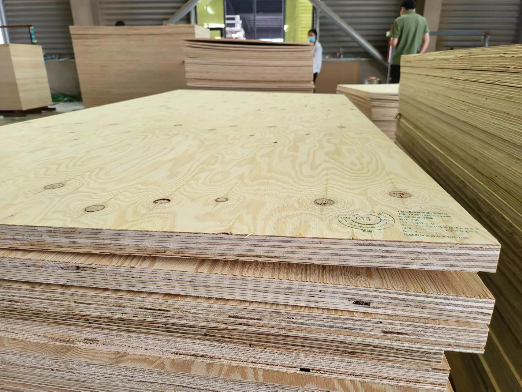 Plywood for Japan Market with JAS