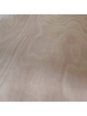 1220x2440 mm Best Quality Okoume Plywood