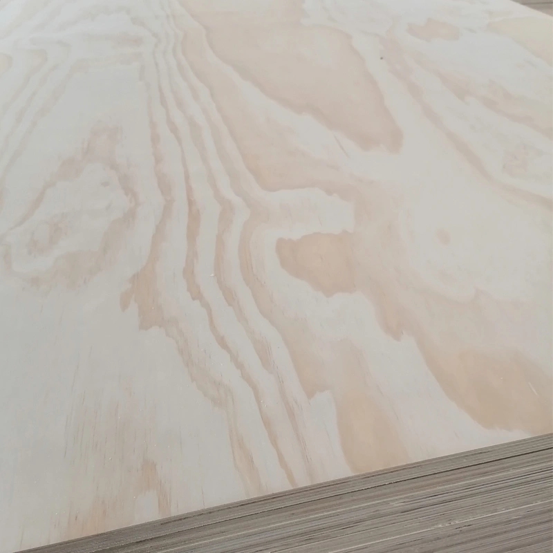 radiata pine plywood manufacturers