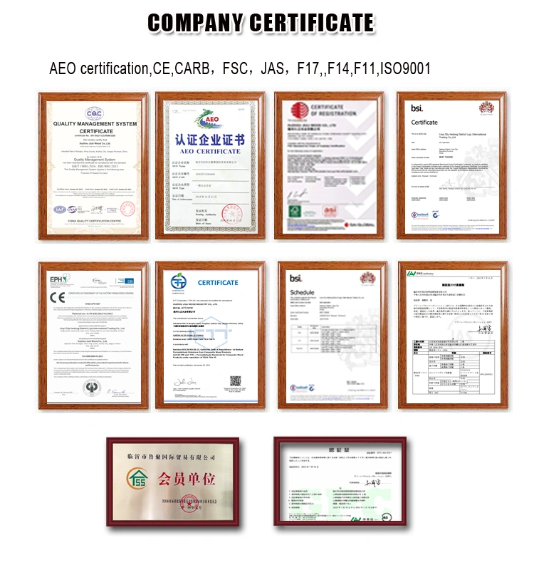 Full Birch Plywood Leader Plywood CE Certification