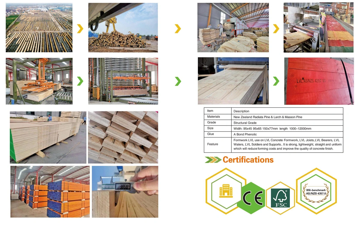 JAS pine LVL plywood timber beam for construction