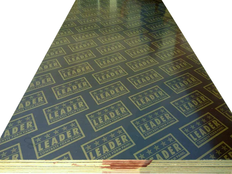 Film faced plywood for Construction plywood