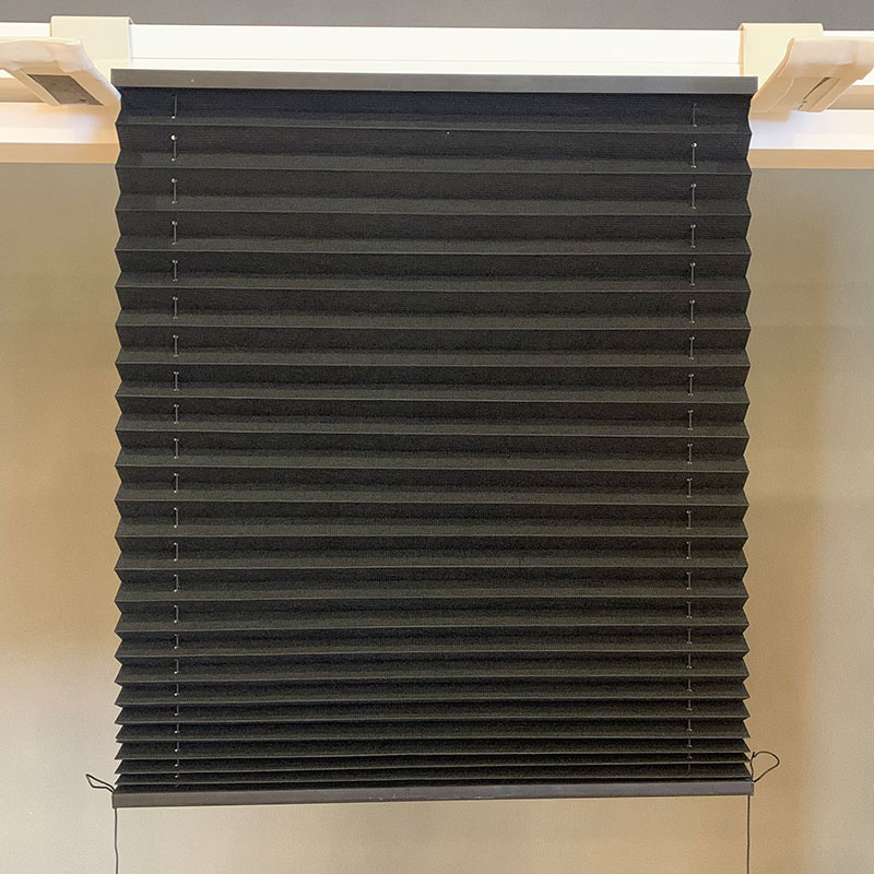 Do you want to know about pleated shade?