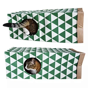 Cat Dog Tunnel