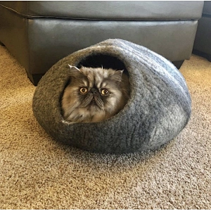 environmental wool house for pet
