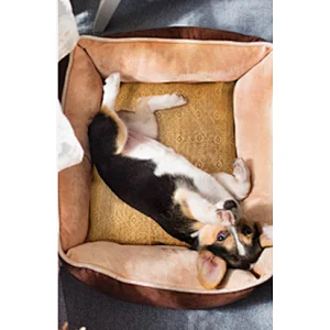 Hot selling waterproof pet bed comfortable bed for cat and dog