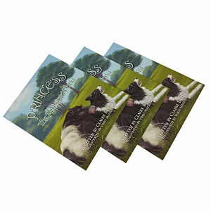 Cheap soft cover book printing coloring book printing printing children books service in China