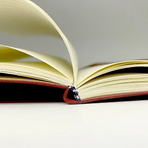 Wholesale fashion red PU leather hardcover custom journal notebook