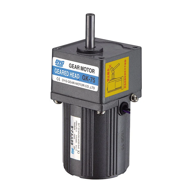 6W 60mm Micro AC Gear Motor