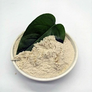 Organic Non Gmo Pea Protein
