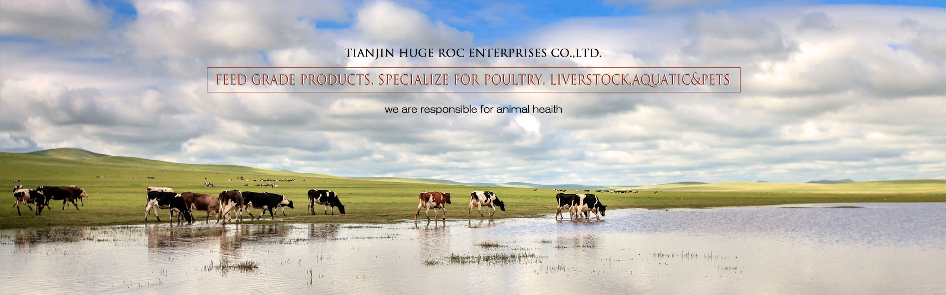 Pigment, Ultramarine Blue, Iron Yellow, Iron Red
Life owns its beauty to various colors.
We supply inorganic/organic pigments in bulk