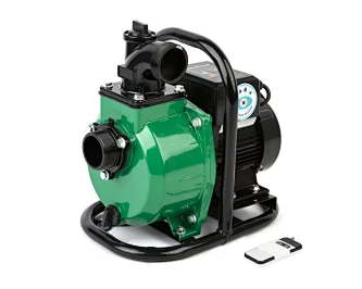 Remote control water pump