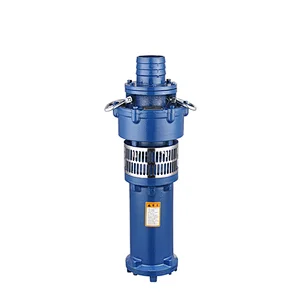 Dry submersible pump