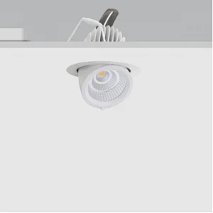 35W Gimbal Downlight