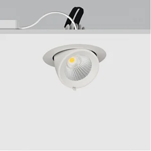 25W Gimbal Downlight