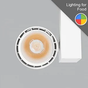 Food lighting TLE30W