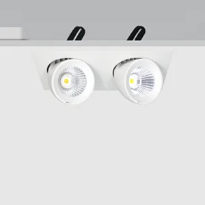 25W*2 Square Gimbal Downlight