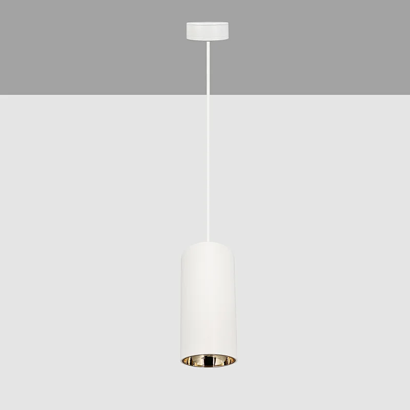 DLU series pendant downlight