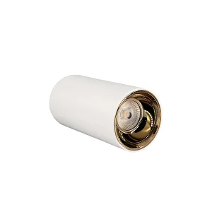 DLU series surface mounted downlight