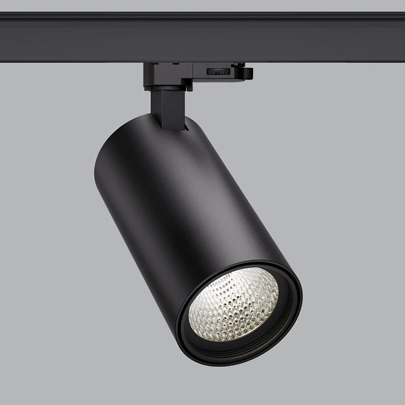 TLG Series: Driver Inside Lamp Body