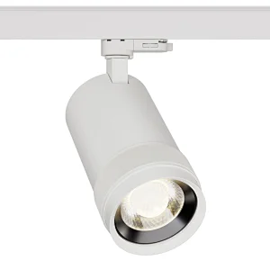 HYRO C1 Series: 30W Dimmer On Lamp, DALI Inside