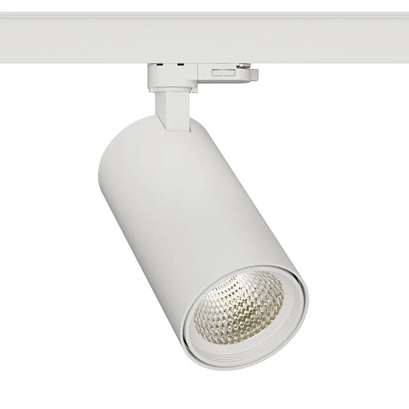 TLG Series: Driver Inside Lamp Body