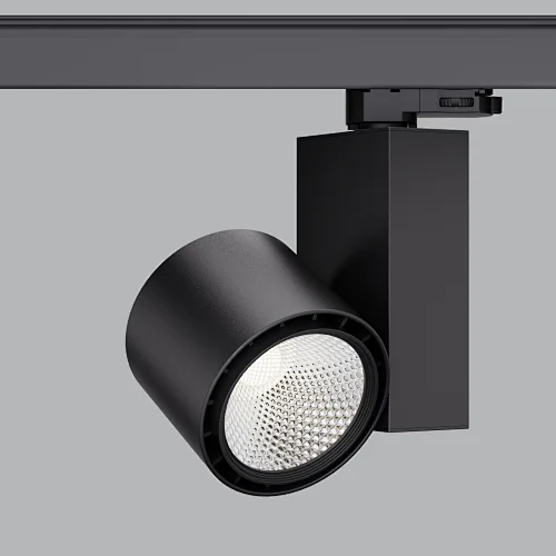 TLE Series: No-Dim