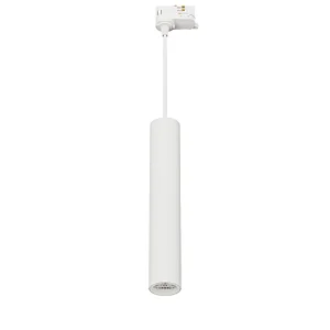 TLQ Series: Pendant Type