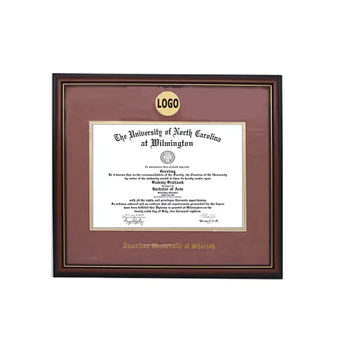 Amazon Hot sale Graduation Certificate Frame Diploma Awards Medal Holders Frames with School Name