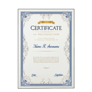Vintage Scrapbook Paper Award Certificate, High quality Foil Hot Stamping A4 Paper