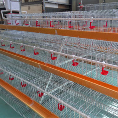 chicken cage poultry cage