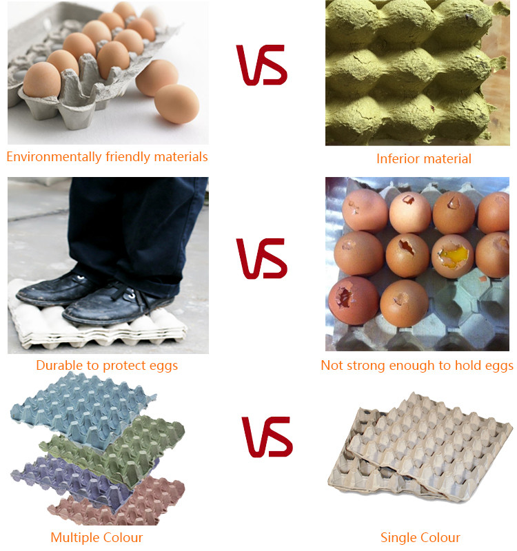 Paper moulded egg tray