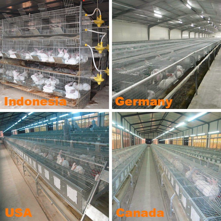 Rabbit cage rabbit cage breeding