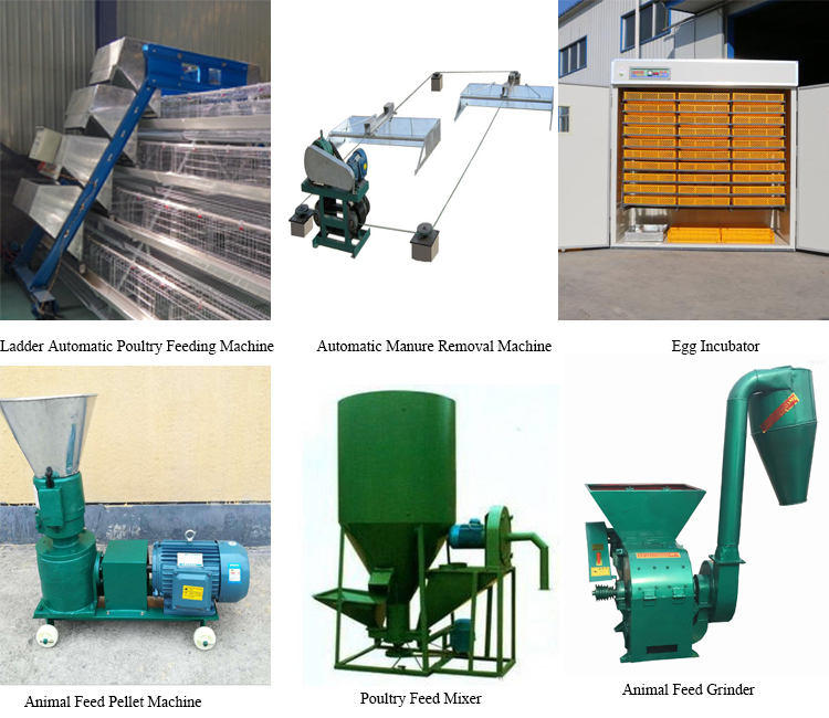 Automatic Feeding Machine Poultry