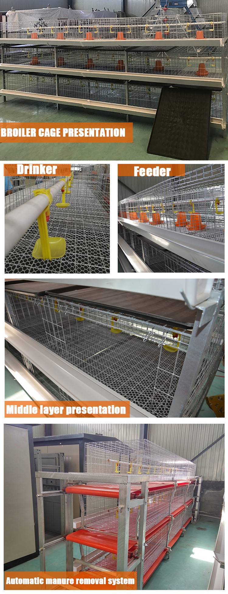 Broiler cage