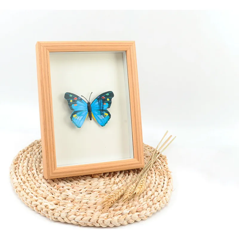 white wooden display window box picture frames