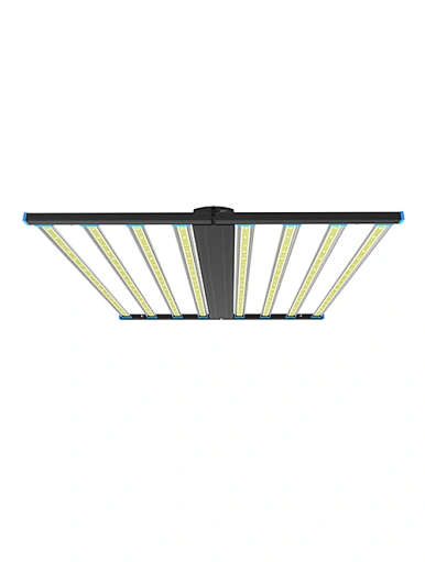 LED light grow plant
