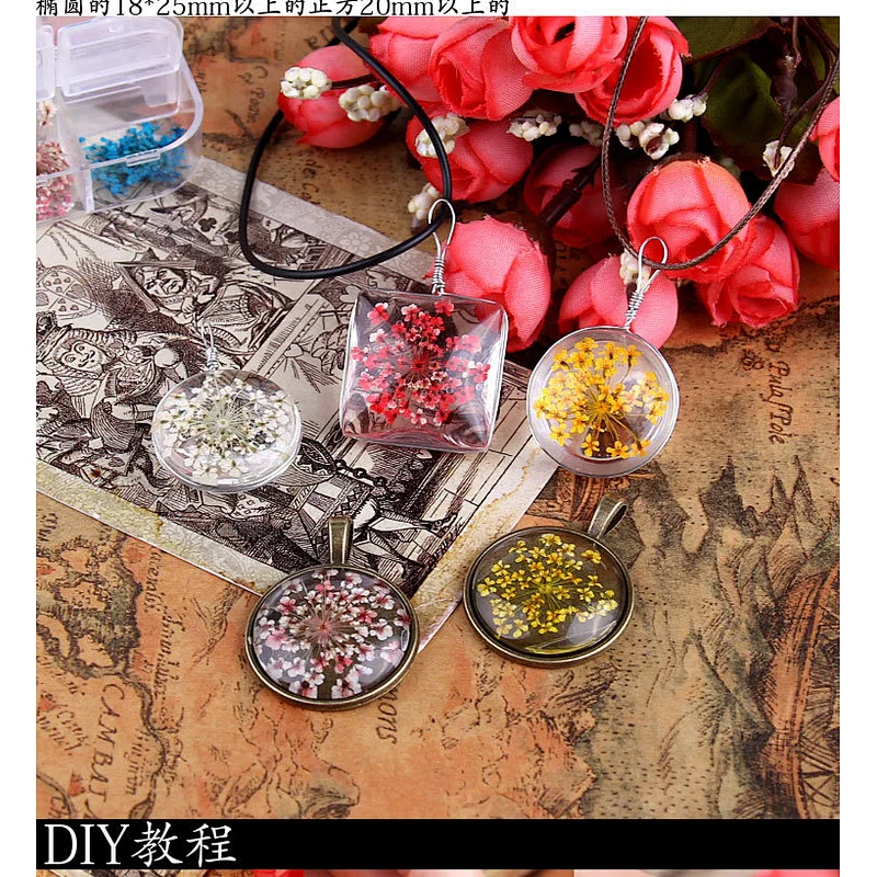 New Design Eco-friendly 3D 12 Colors Acrylic Nail Art Decoration Decals Dried Flowers