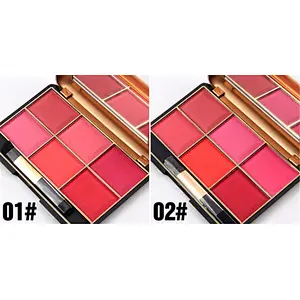 Hot Sell OEM blush brush High Quality blush on Wholesale Palette Blush Makeup