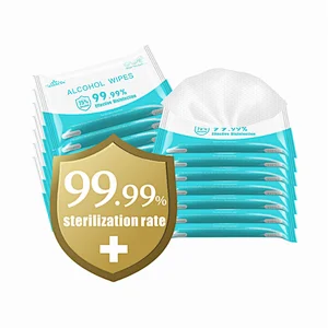 OEM Portable 99.99% Effective10pcs 75% Alcohol Disinfection Wipes