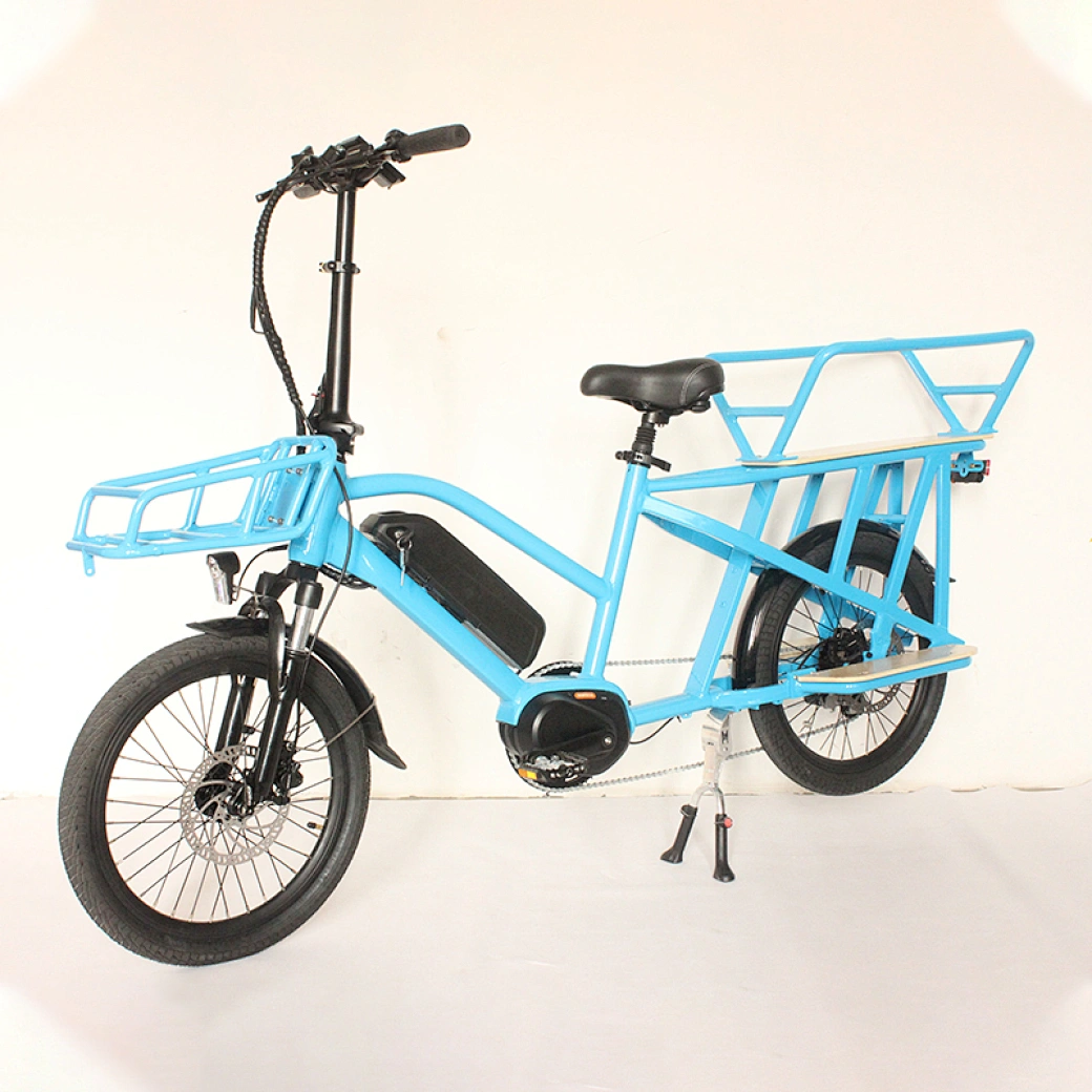 China ebike best price