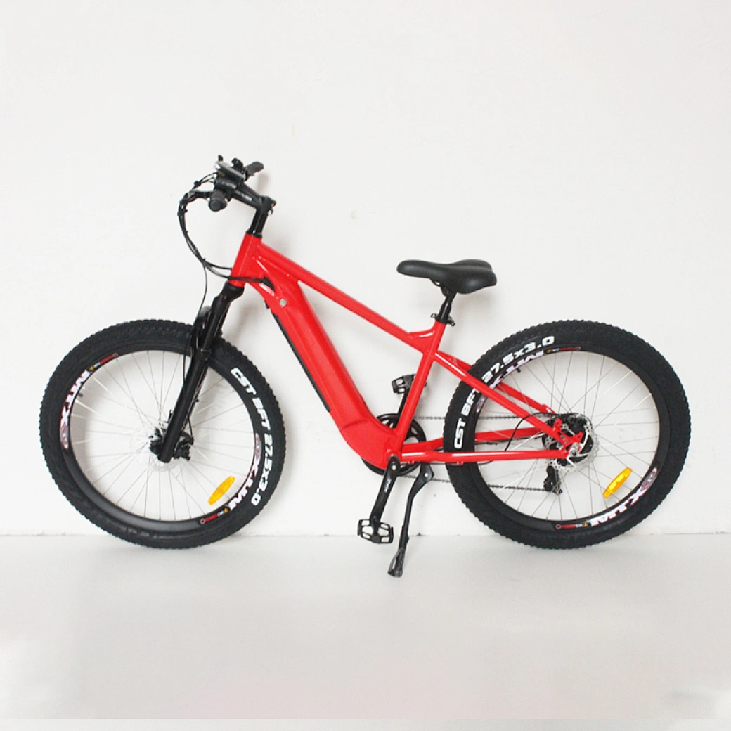 rear electric bike motor