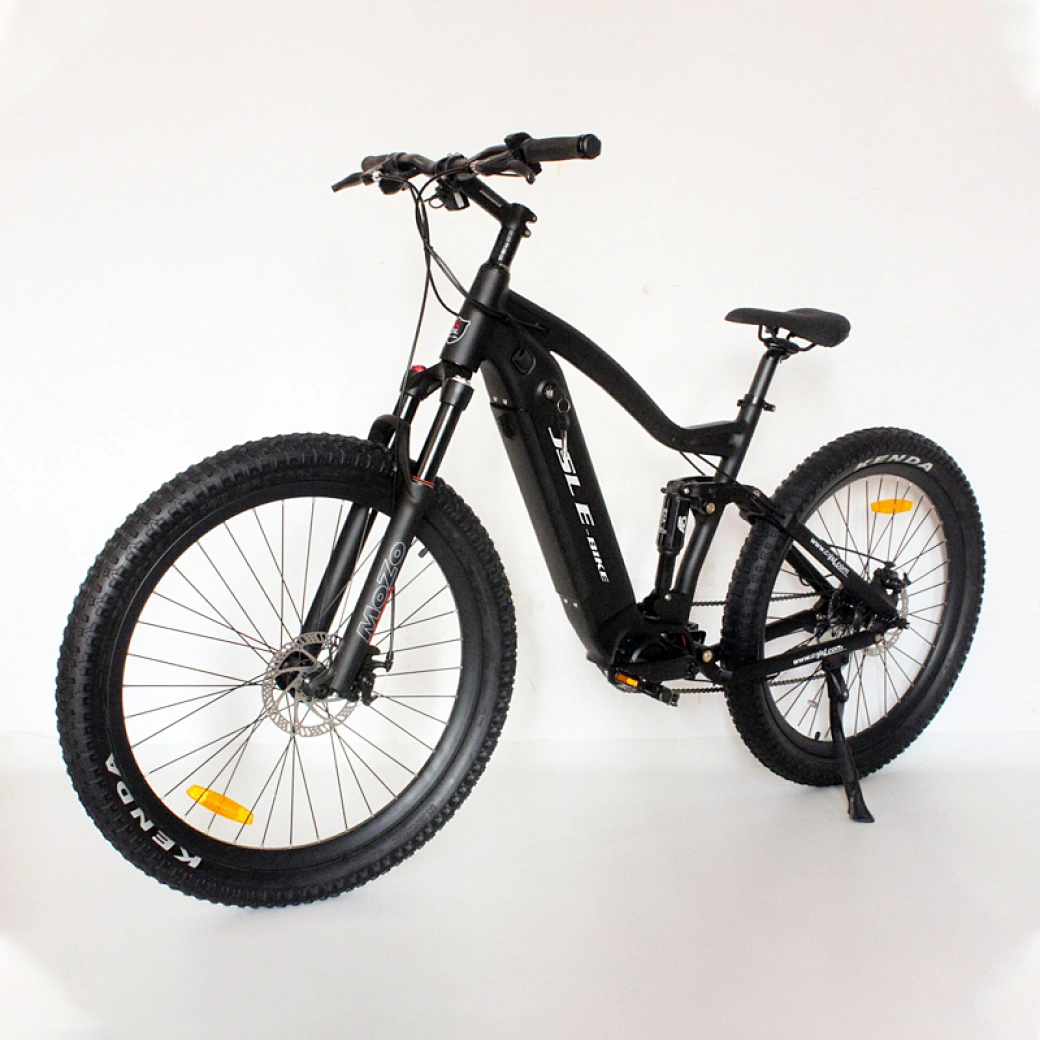 36v 250w motor ebike