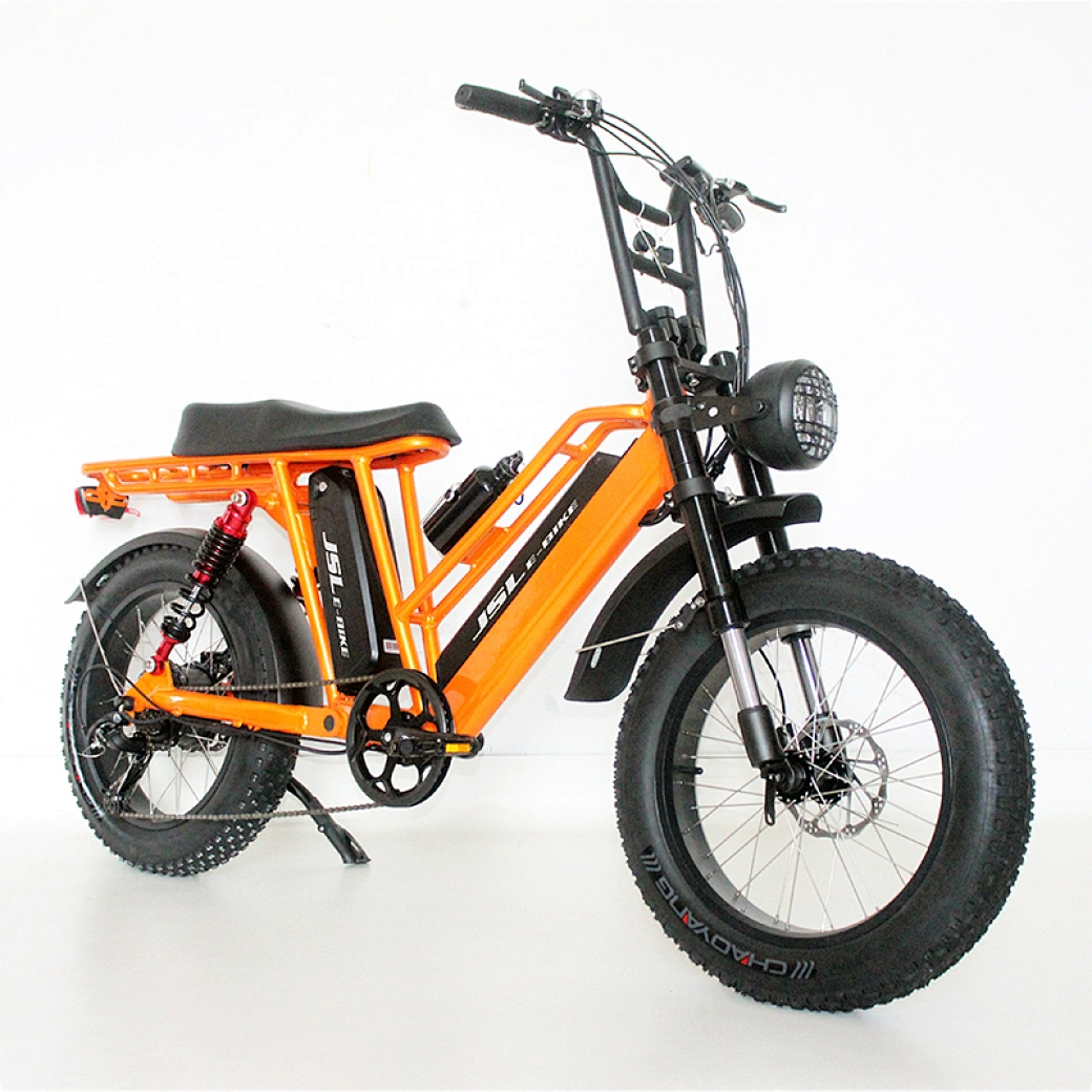 20 inch suspension bike