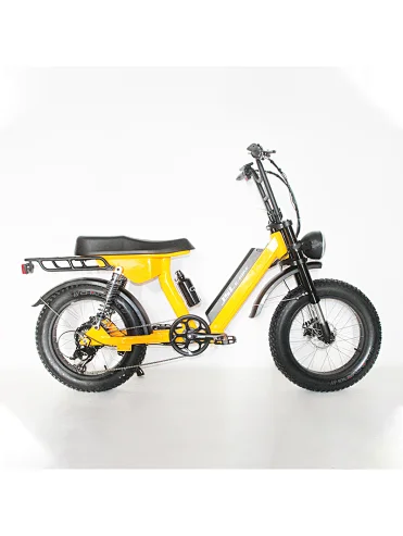 (JSL039FD)Vintage New Product 20 inch 48v 500w low step full suspension fat tire electric bike snow ebike beach cruiser