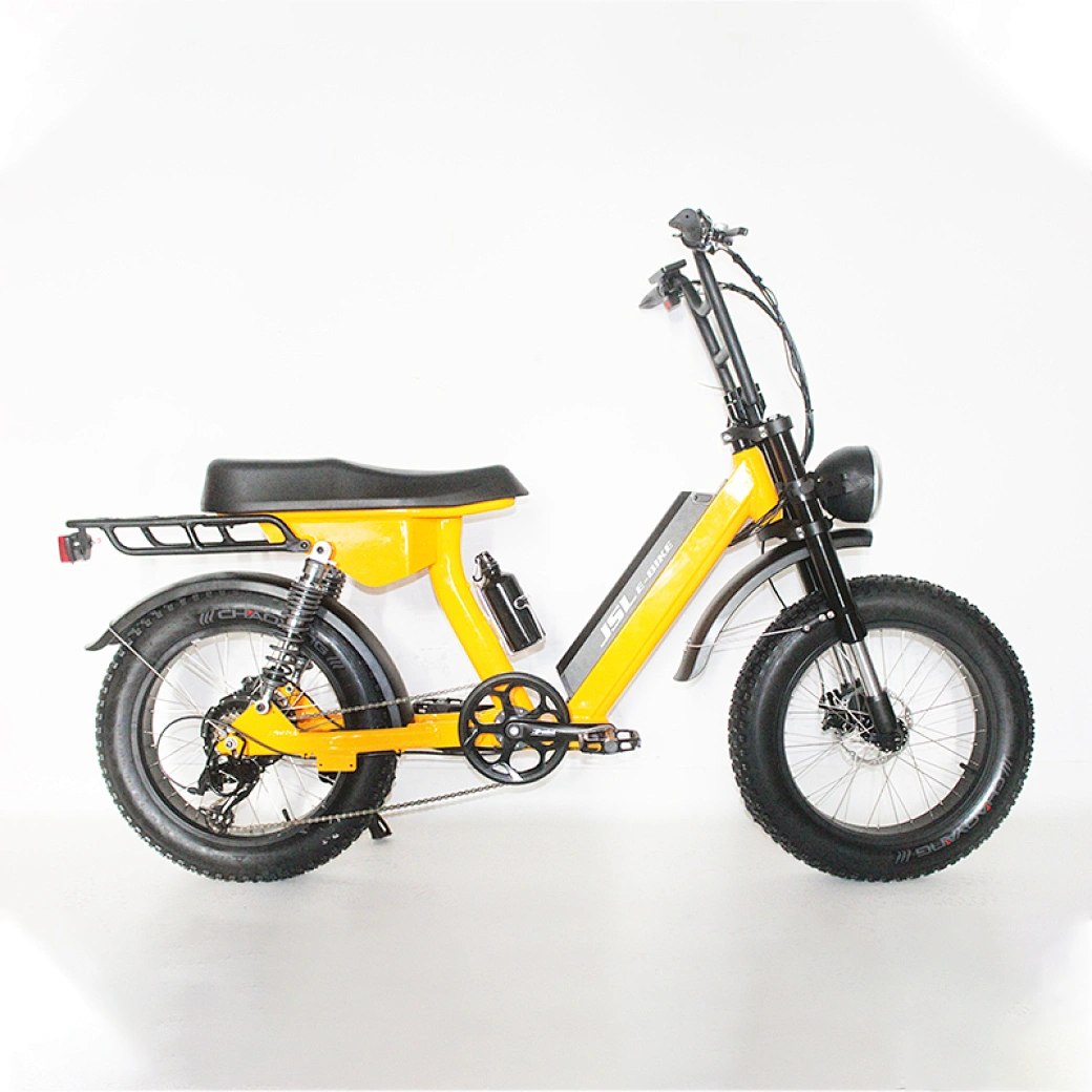 20 inch suspension bike