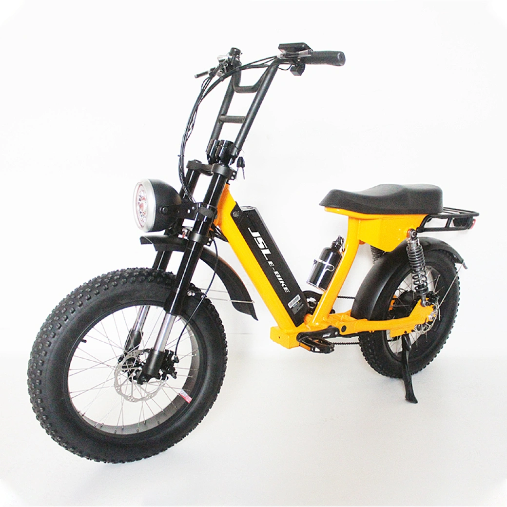 20 inch suspension bike