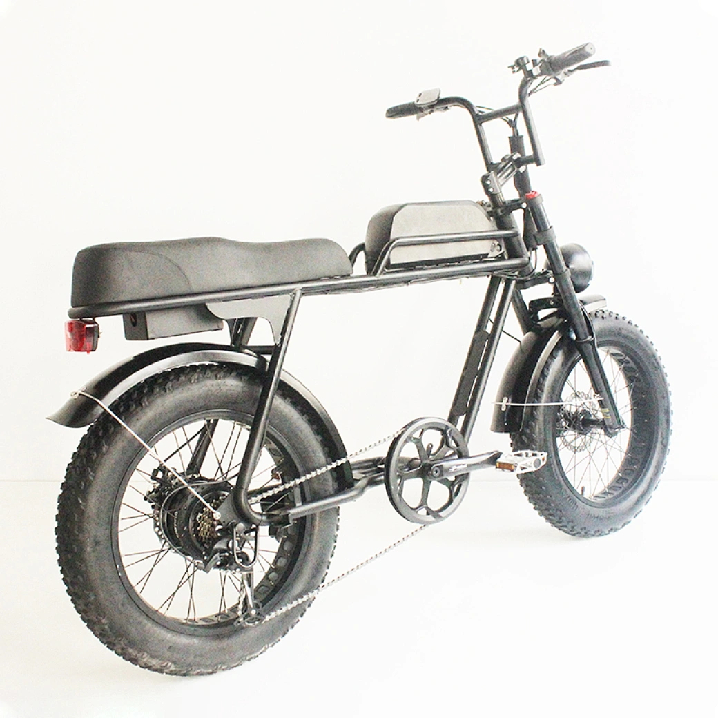 suspension electric bike 48v